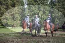 ref. photo 3355460