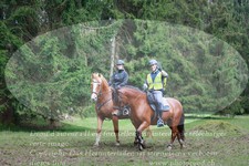 ref. photo 3355480