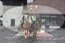 ref. photo 3355491