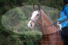 ref. photo 3355503