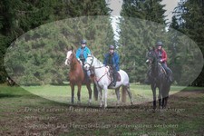 ref. photo 3355507