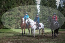 ref. photo 3355512