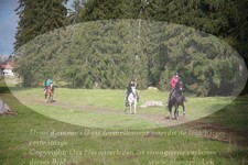 ref. photo 3355524