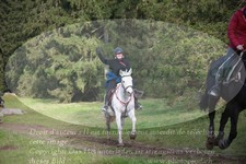 ref. photo 3355529