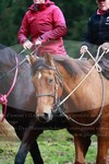ref. photo 3355557