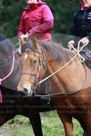 ref. photo 3355558