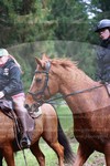 ref. photo 3355560