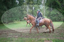 ref. photo 3355562