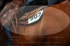 ref. photo 3355563