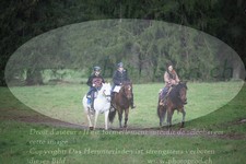 ref. photo 3355593