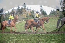 ref. photo 3355638