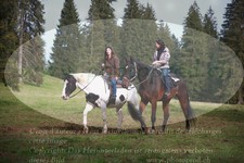 ref. photo 3355649