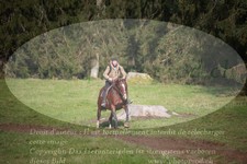 ref. photo 3355705