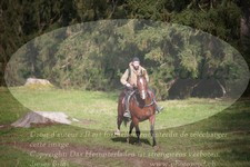 ref. photo 3355707