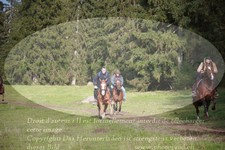 ref. photo 3355710