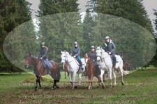 ref. photo 3355730