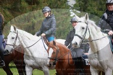 ref. photo 3355735