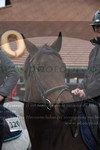 ref. photo 3355746