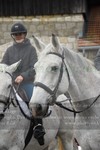ref. photo 3355747
