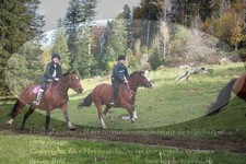 ref. photo 3355784