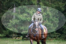 ref. photo 3355800