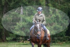ref. photo 3355801