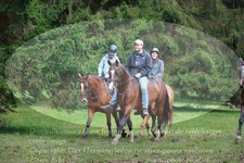 ref. photo 3355803