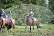 ref. photo 3355804