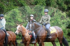 ref. photo 3355806