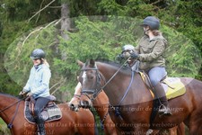 ref. photo 3355808