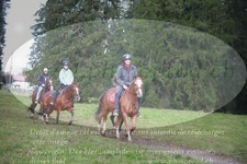 ref. photo 3355810