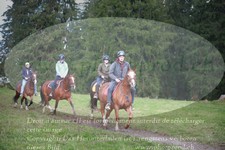 ref. photo 3355811