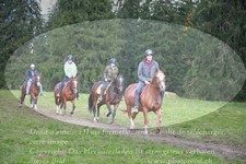 ref. photo 3355812