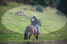 ref. photo 3355820