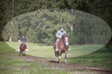 ref. photo 3355823