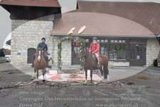 ref. photo 3355830