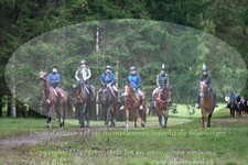 ref. photo 3355832