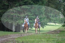 ref. photo 3355877