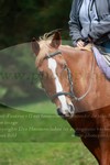 ref. photo 3355890
