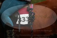 ref. photo 3355893