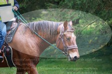 ref. photo 3355974