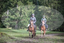 ref. photo 3356024