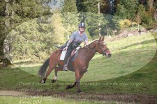ref. photo 3356041