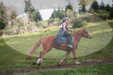 ref. photo 3356048