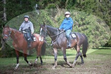 ref. photo 3356076