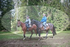 ref. photo 3356077