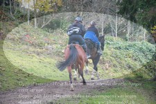 ref. photo 3356089