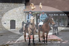 ref. photo 3356094