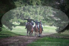 ref. photo 3356097