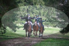 ref. photo 3356101